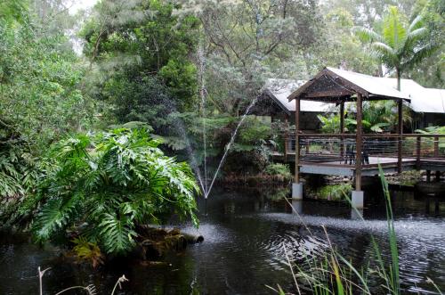 The Oasis at One Mile Beach, Nelson Bay (fotografie 5)