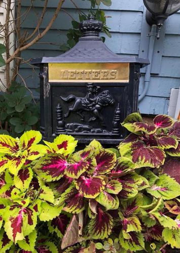 Rose Heart Inn in Mount Gilead, USA