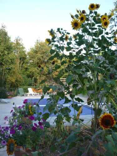 Workshop with shared pool for 2-6 in Semur en Auxois, Burgundy