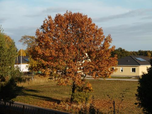 Ferienwohnung im Neubauernweg 3 in Hoppegarten, Deutschland