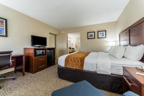 Comfort Inn Festus-St Louis South - image 20