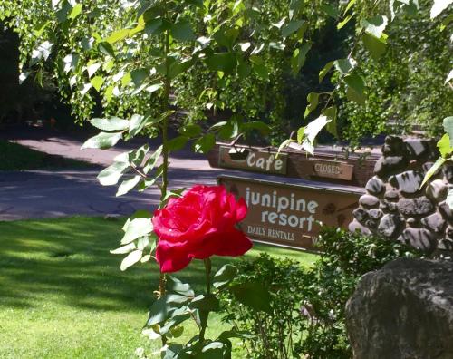 Junipine Resort - Accommodation - Sedona