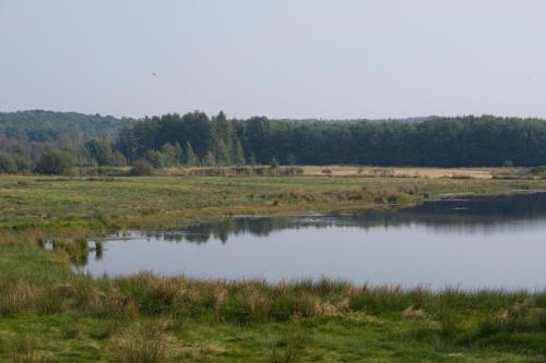 Fletcher Landhotel Bosrijk Roermond - image 5
