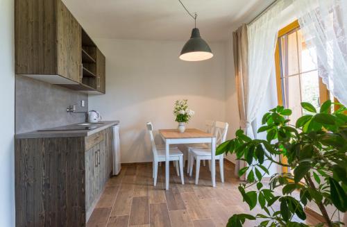 Konyha, Pension Tereza & Šumavské Roubenky (Pension Tereza & Sumavske Roubenky) in Petrovice U Susice