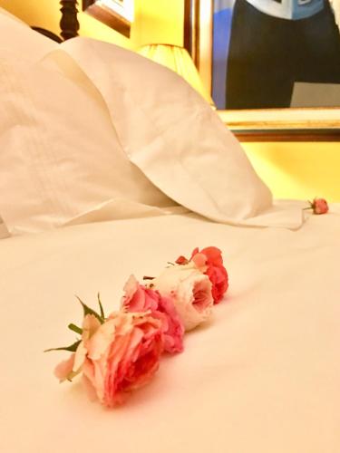 Casa da Alcacova - Santarém