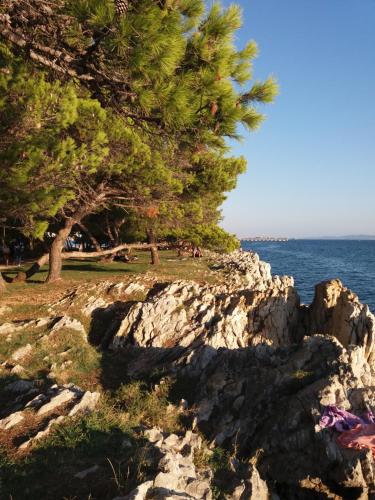  Summer Adventure apartment BY BEACH Kolovare in Zadar