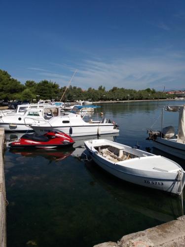  Summer Adventure apartment BY BEACH Kolovare in Zadar