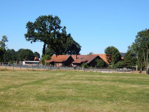 21 Düdinghausen - Apartment - Steyerberg