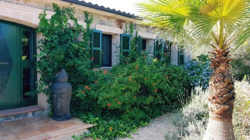 Finca Bona Sort, Capdepera (fotografie 2)