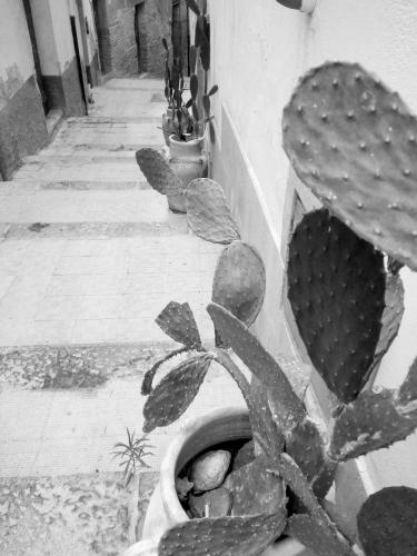B&B Al Centro Storico