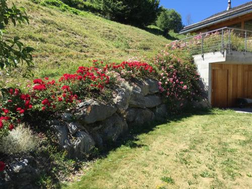 Chalet E Toue, Nendaz (zdjęcie 6)
