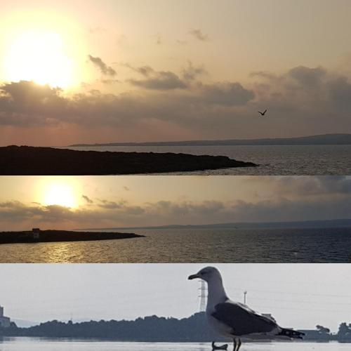 casa vacanza isola dei fenici