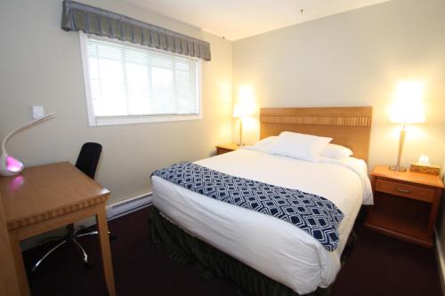 Harrison Spa Motel Room Type - One-Bedroom Queen Suite