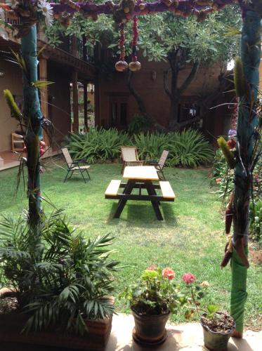 16576946 Posada Yolihuani