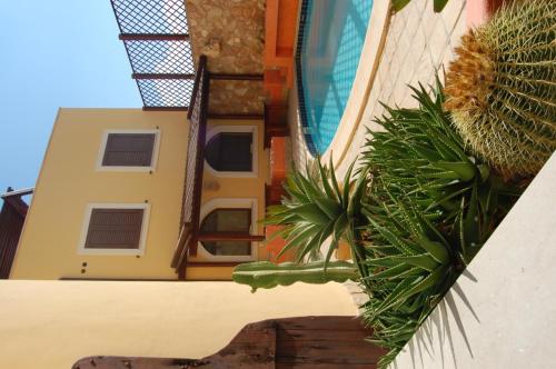 El Mosaico Del Sol - image 7