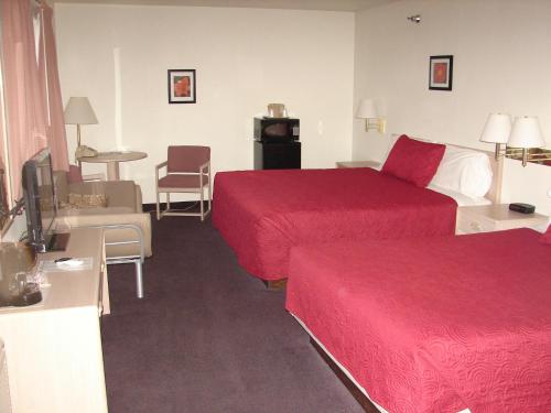 Mountain View Motor Inn - image 4
