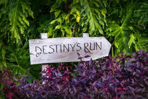 Destiny's Run Retreat
