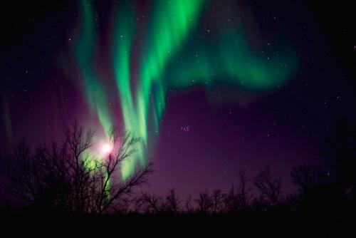 Arctic Gourmet Cabin - image 7
