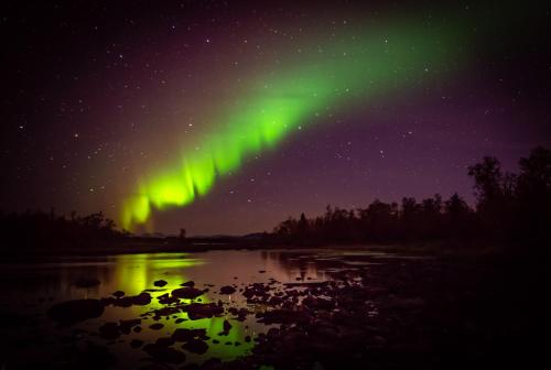 Arctic Gourmet Cabin - image 9
