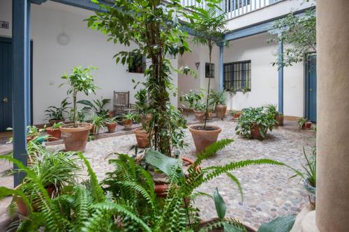 Espectacular apartamento con terraza privada parking - image 4