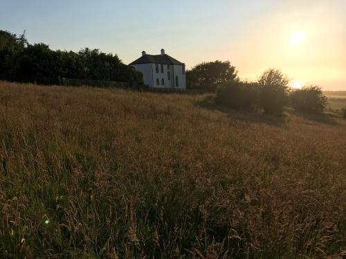 Carrick Hills Cosy Croft