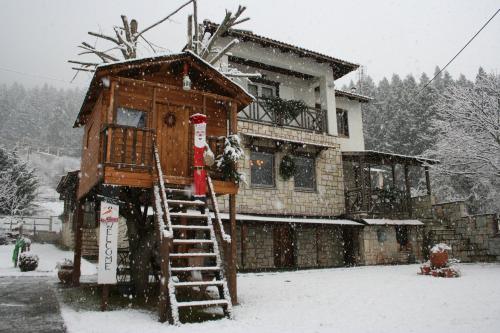 Villa Filokosta - Apartment - Pertouli