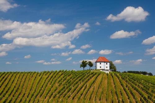 Wine Grower's Mansion Zlati Gric