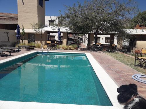 cabañas Yamasu Huasi (cabanas Yamasu Huasi) in Cafayate-Tolombon