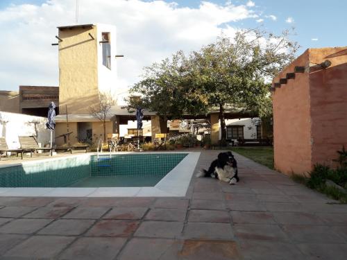 cabañas Yamasu Huasi (cabanas Yamasu Huasi) in Cafayate-Tolombon