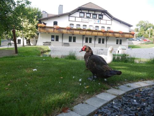 Hotel Burg Hof – Burg-Reuland, IN