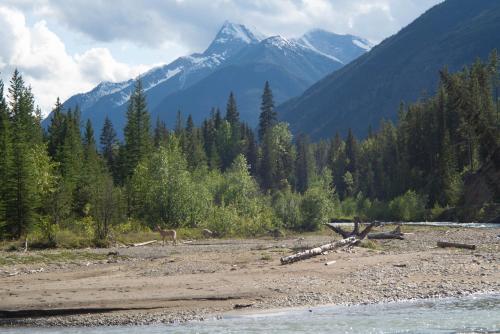 Panorama Vacation Retreat at Horsethief Lodge