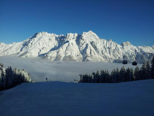 Apartment Eva in Bad Leogang