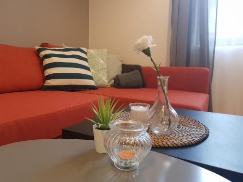 . Radomir Downtown Apartments