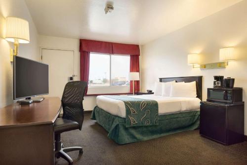 1 twin bed