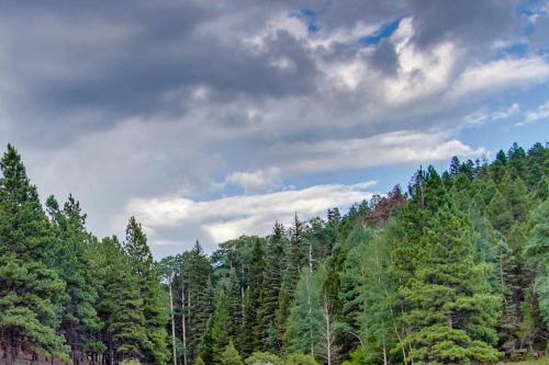 Gold Creek 208 in Angel Fire, USA