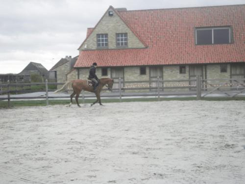 House Zoute Stables 125sqm in 5 Ha property near seaside in Knokke