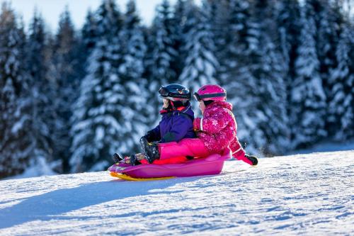 166065737 Familienhotel Felsenhof