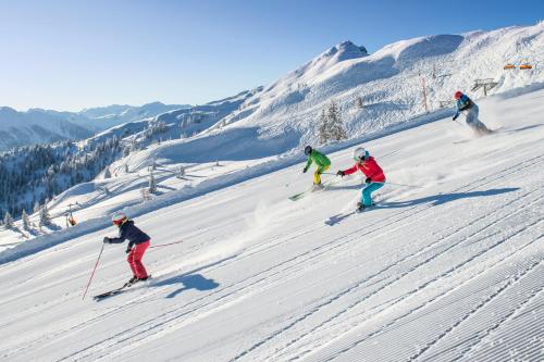 166069018 Familienhotel Felsenhof