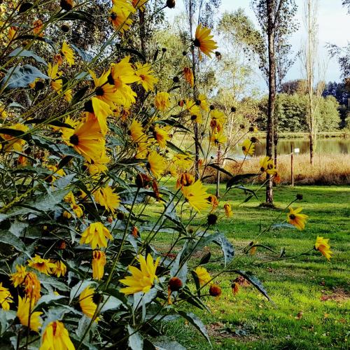 Le Roussinas Anglès 81 chambre d'hôte Albine