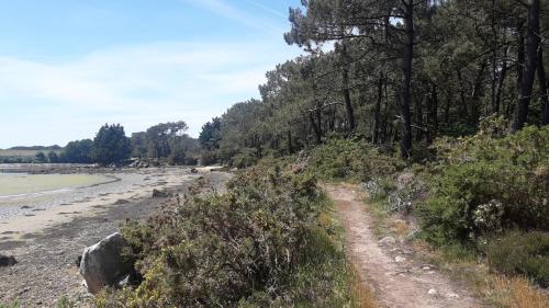 Back To breizh - image 10