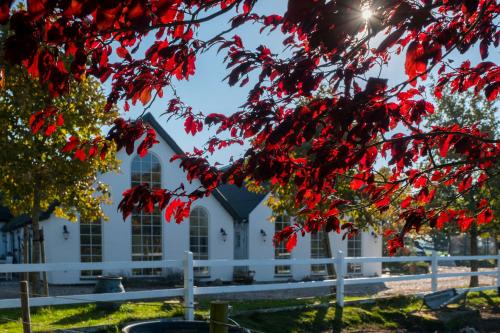 Troldegaarden Guesthouse in Koge