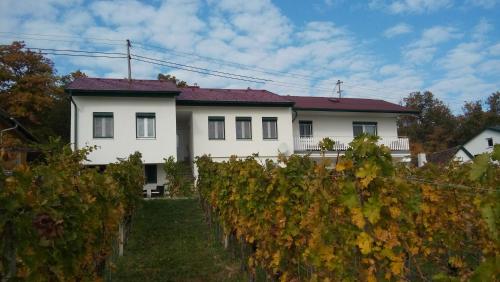 المنظر الخارجي, Ferienhaus Szapary II in Eisenberg