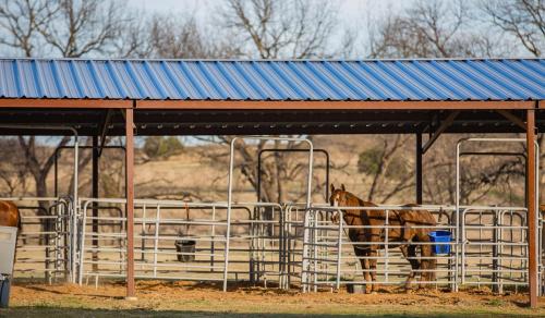 NRS Event Center & Guest Ranch - image 9