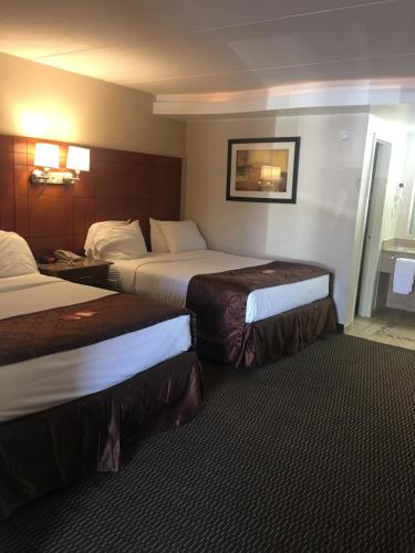 Queen Room with Two Queen Beds and Roll-In Shower - Mobility/Hearing Accessible - Non-Smoking