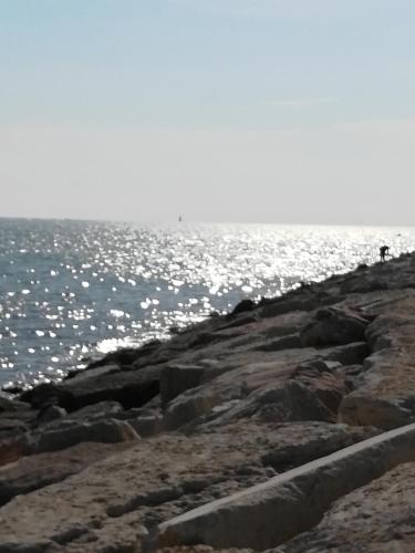 Casamarin3, Caorle (fotografie 3)