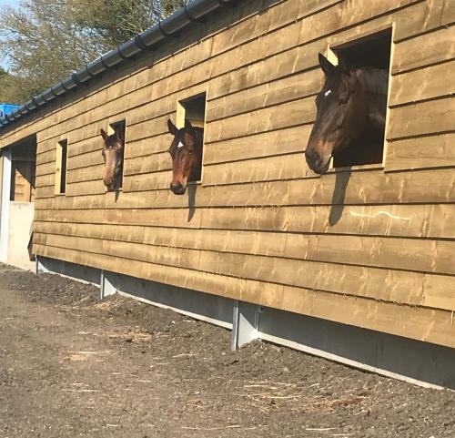 Spring Hill Cottages in แวพเพนแนม