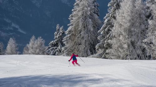 Sattleggers Alpenhof & Feriensternwarte