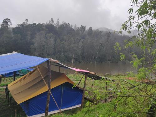 Black Forest Tent Trek In Kodaikanal India Reviews Prices Planet Of Hotels