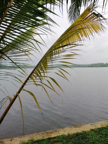 Hikka Lagoon