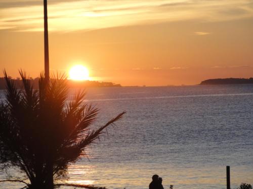 Cannes Terrace Beach Front & Sea view - Apartment - Cannes